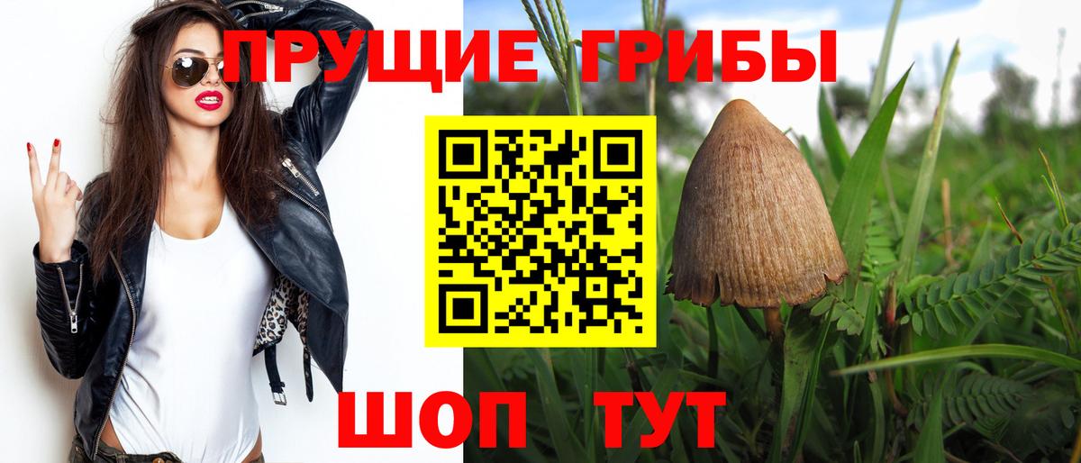 Нерюнгри  Галлюциногенные грибы MAGIC MUSHROOMS  Вход с VPN 